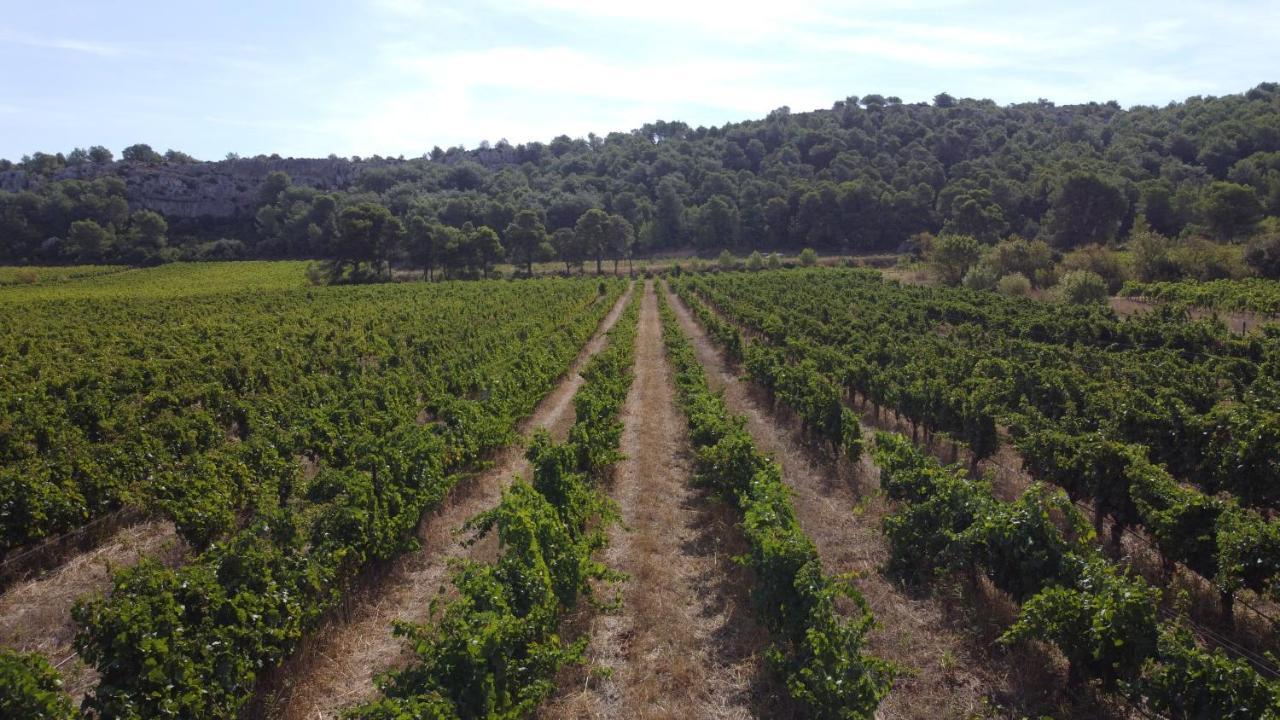 Chateau Catherine De Montgolfier B&B Et Gites Narbonne Eksteriør bilde